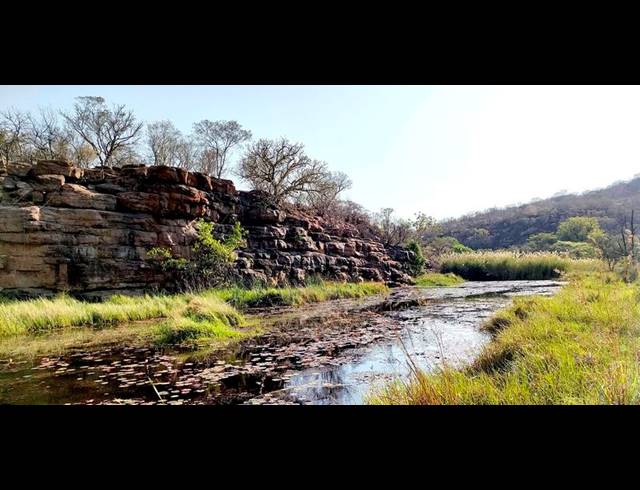 FARM FOR SALE IN LEPHALALE RURAL